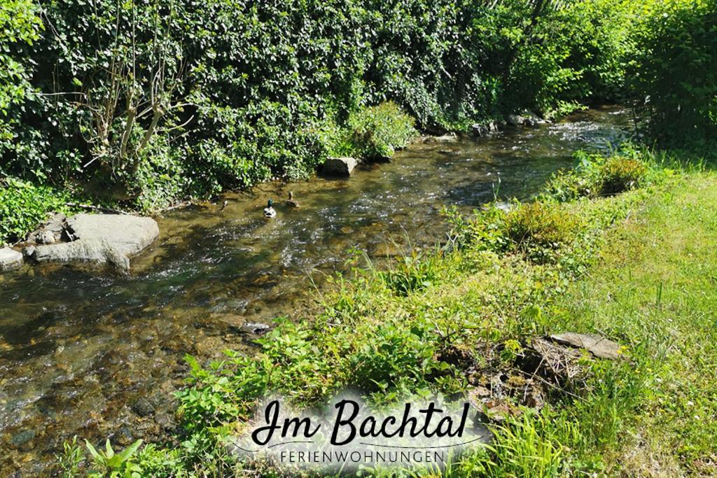 Ferienwohnung Im Bachtal Pommern Екстериор снимка